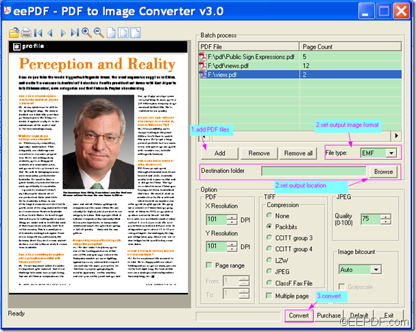convert PDF to vector image using EEPDF PDF to Image Converter