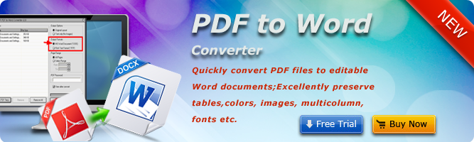 Pdf to Word Converter