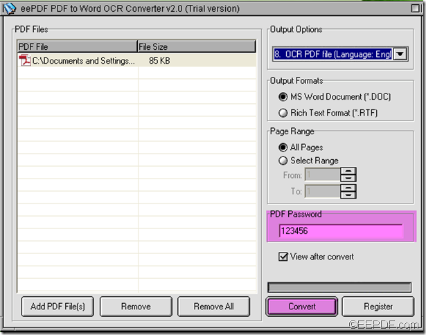 convert encrypted PDF using EEPDF PDF to Word OCR Converter